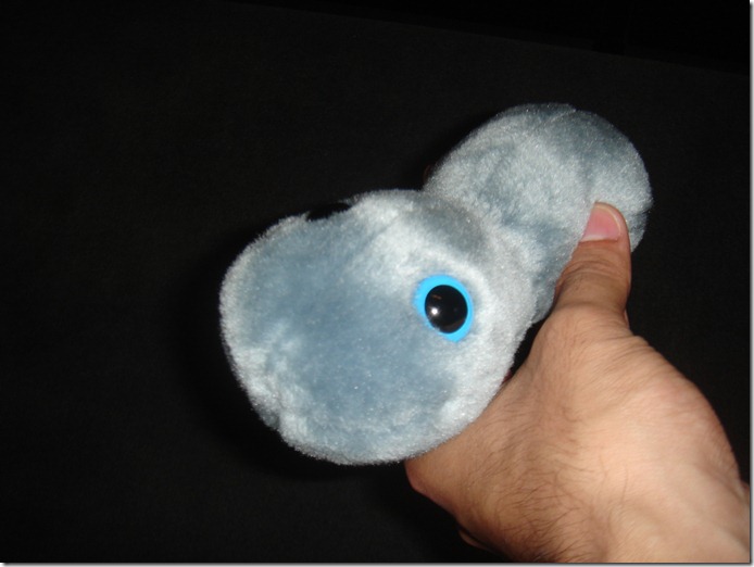 Gonorrhea, our class mascot?