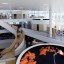 3XN_projects_74553_oerestad_gymnasium_media_74553_10